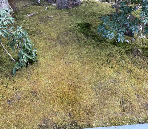 京都市山科区　施肥　肥え入れサムネイル