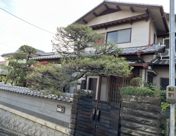京都府宇治市で松の剪定をさせていただきました。サムネイル