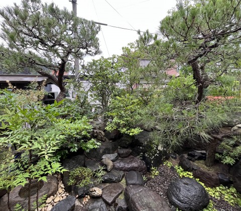 京都府宇治市でお庭の手入れをさせていただきました。サムネイル
