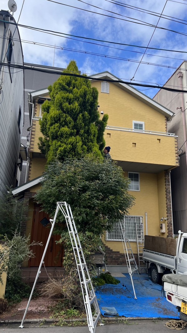京都市南区で玄関先の庭の造り替えをさせていただきました。サムネイル